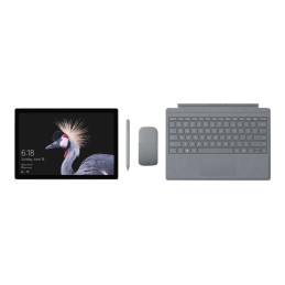 Surface Pro (11e édition) - OLED - Snapdragon X Elite - 16GB RAM - 512GB SSD - Platine [Non PSU] - v... (EP2-08363)_2