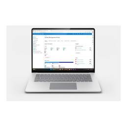 7th Edition - Snapdragon X Elite - X1E-80-100 - jusqu'à 4 GHz - Win 11 Pro - Qualcomm Adreno - 16 Go... (ZXY-00007)_1