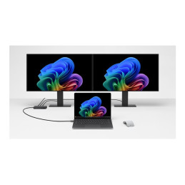 SfcLp5G13.8tC5 - 16 - 256CMxPS W11 Plat (EP2-40027)_10