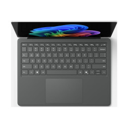 Lp5G13.8IntC5 - 32 - 256CM Win11 SC French France Comm Platinum (EP2-36346)_4