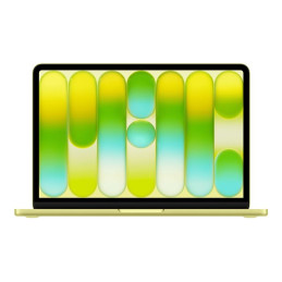 A18 Pro - Apple A18 Pro 5-core - 8 Go RAM - 256 Go SSD - 13" IPS 2408 x 1506 - Wi-Fi 6E, Bluetooth 6... (MHFD4FN/A)_1